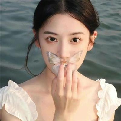 大白鲨4