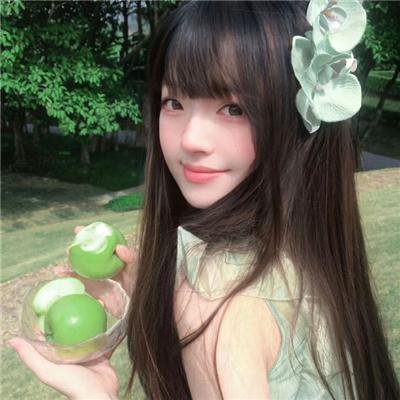 女孩的灵缇犬